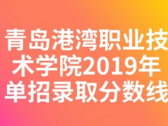 青島港灣職業(yè)技術(shù)學院2019年單招錄取分數(shù)線-山東單招網(wǎng)