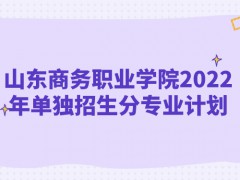 山東商務(wù)職業(yè)學院2022年單獨招生分專業(yè)計劃